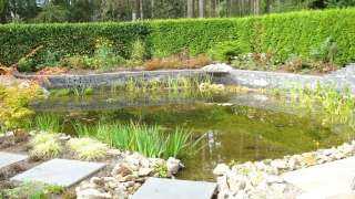 stapstenen over een waterstroom, natuursteen,wildverband, hovenier tilburg poppel breda vught